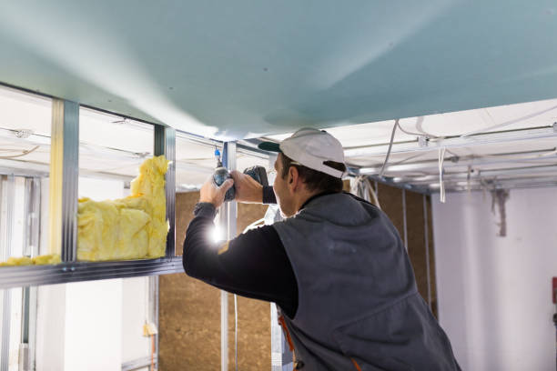 Best Attic Insulation Installation  in Village Of Waukesha, WI