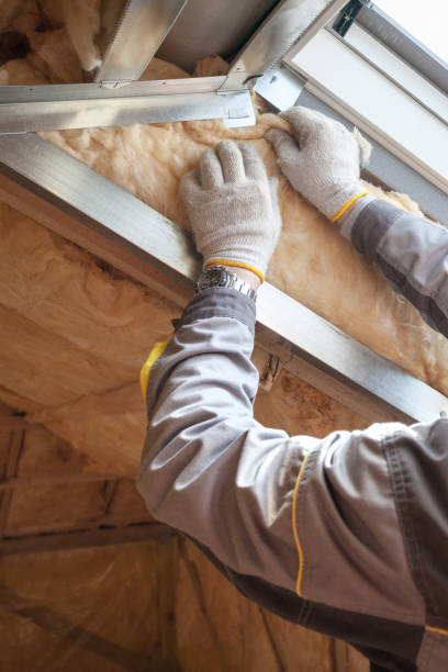 Best Professional Insulation Contractor  in Village Of Waukesha, WI