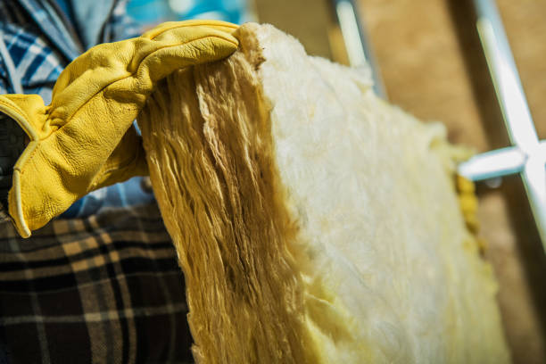 Best Fiberglass Insulation  in Village Of Waukesha, WI