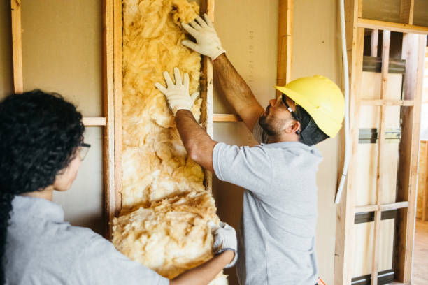 Best Insulation for New Construction  in Village Of Waukesha, WI