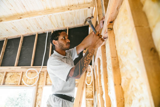 Best Residential Insulation Services  in Village Of Waukesha, WI