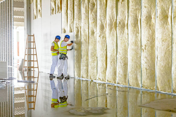 Best Home Insulation Services  in Village Of Waukesha, WI